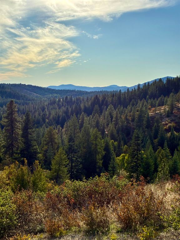 TBD Deer Valley Rd, Newport, WA 99156