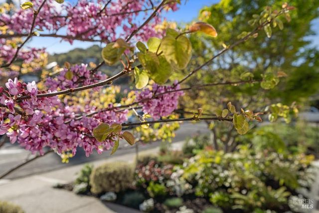 42 Billou St, San Rafael, CA 94901