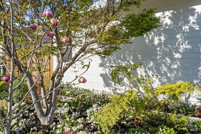 42 Billou St, San Rafael, CA 94901