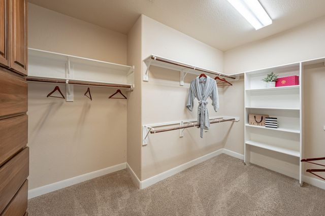 26 Verdin Place, The Woodlands, TX 77389