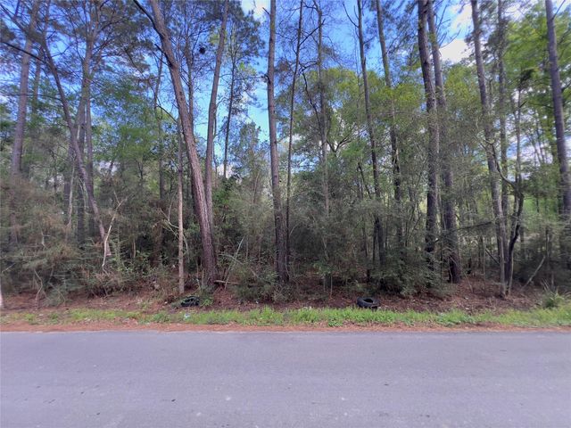 25597 Northampton, New Caney, TX 77357