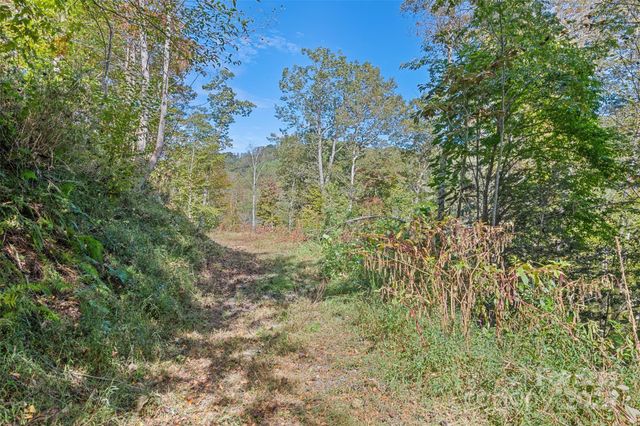 16 Harleys Cove, Waynesville, NC 28785