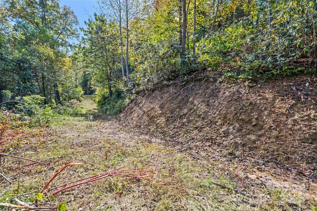 16 Harleys Cove, Waynesville, NC 28785