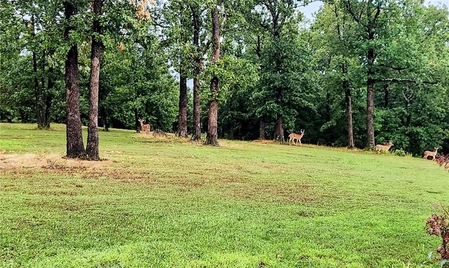 167 Madison 6093, Huntsville, AR 72740