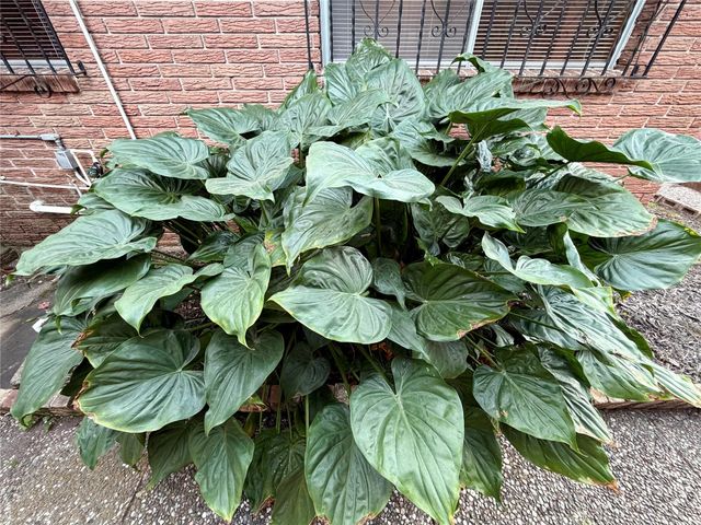 7007 Avenue F, Houston, TX 77011