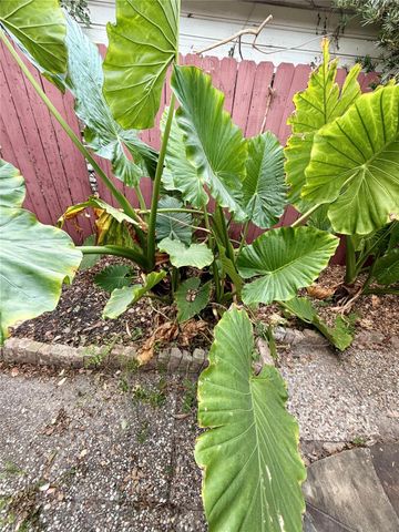 7007 Avenue F, Houston, TX 77011