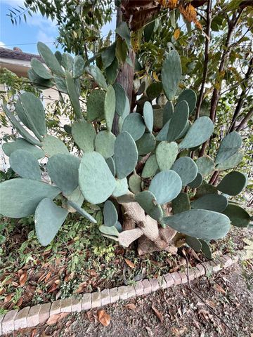 7007 Avenue F, Houston, TX 77011