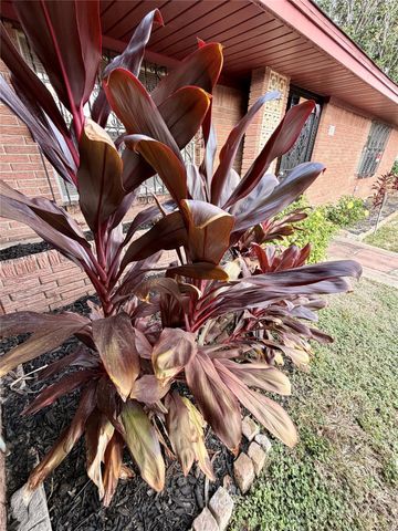 7007 Avenue F, Houston, TX 77011