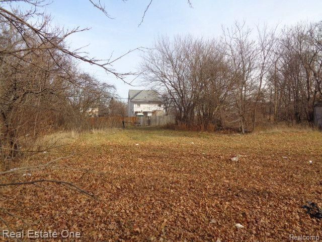 3806 Belvidere Street, Detroit, MI 48214