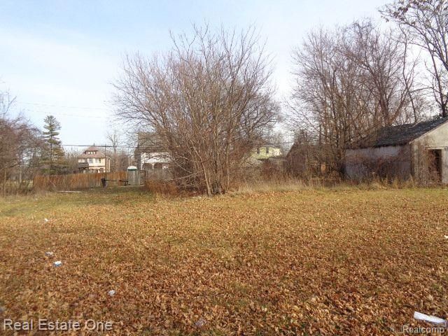 3806 Belvidere Street, Detroit, MI 48214