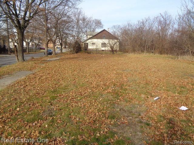3806 Belvidere Street, Detroit, MI 48214