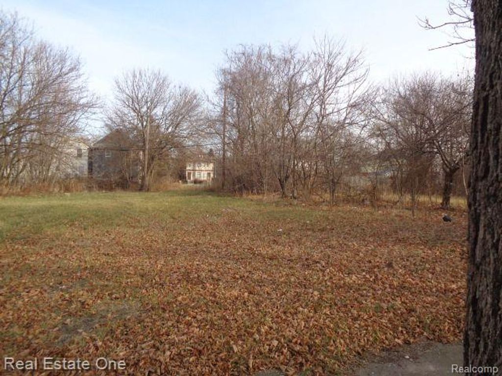 3806 Belvidere Street, Detroit, MI 48214
