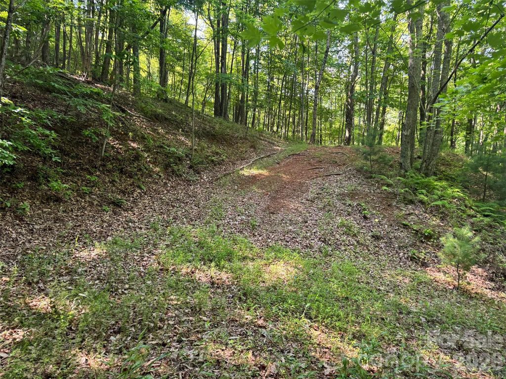 856 Stoney Stream Lane 146 & 147, Arden, NC 28704
