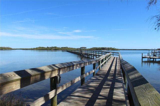 415 SIOUX BOULEVARD, Oak Hill, FL 32759