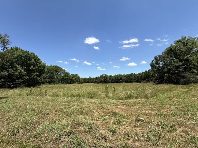 873 Walnut Grove Rd, Christiana, TN 37037