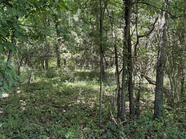 873 Walnut Grove Rd, Christiana, TN 37037