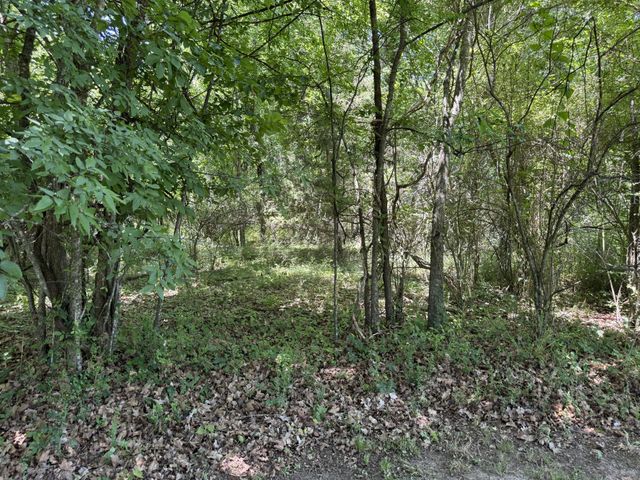 873 Walnut Grove Rd, Christiana, TN 37037