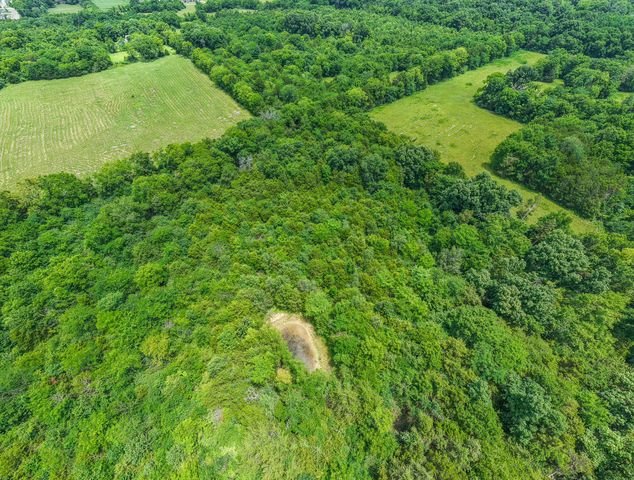 873 Walnut Grove Rd, Christiana, TN 37037
