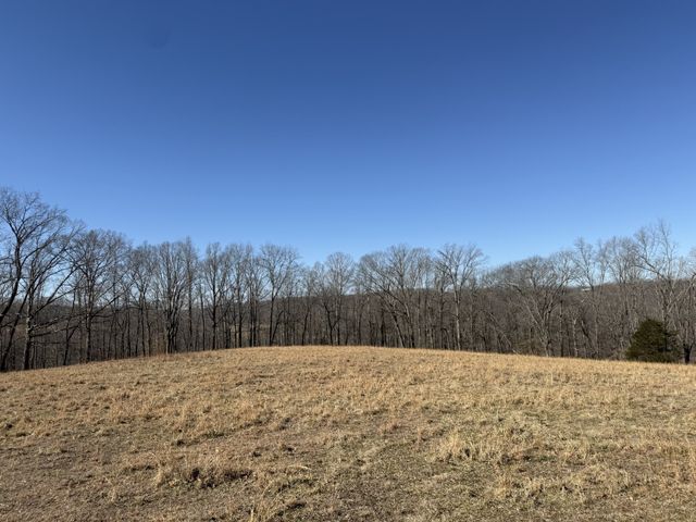 4 N Lick Creek Rd, Franklin, TN 37064