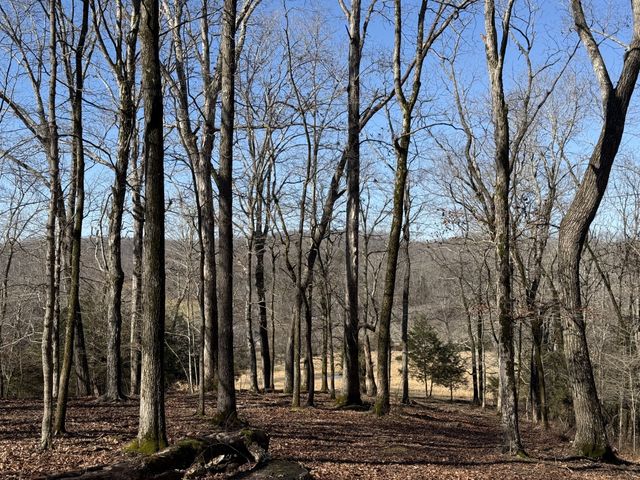 4 N Lick Creek Rd, Franklin, TN 37064