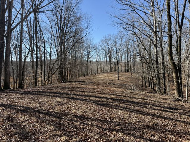 4 N Lick Creek Rd, Franklin, TN 37064