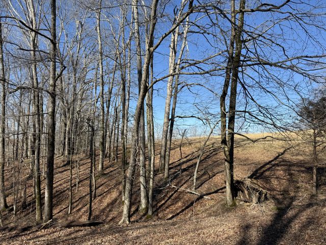 4 N Lick Creek Rd, Franklin, TN 37064