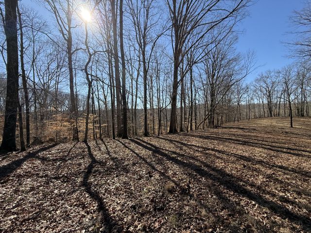 4 N Lick Creek Rd, Franklin, TN 37064