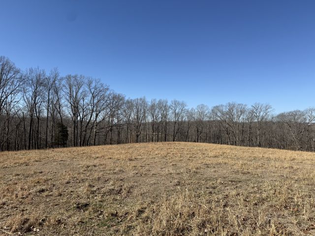 4 N Lick Creek Rd, Franklin, TN 37064