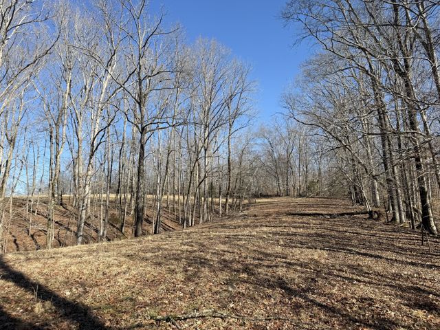 4 N Lick Creek Rd, Franklin, TN 37064