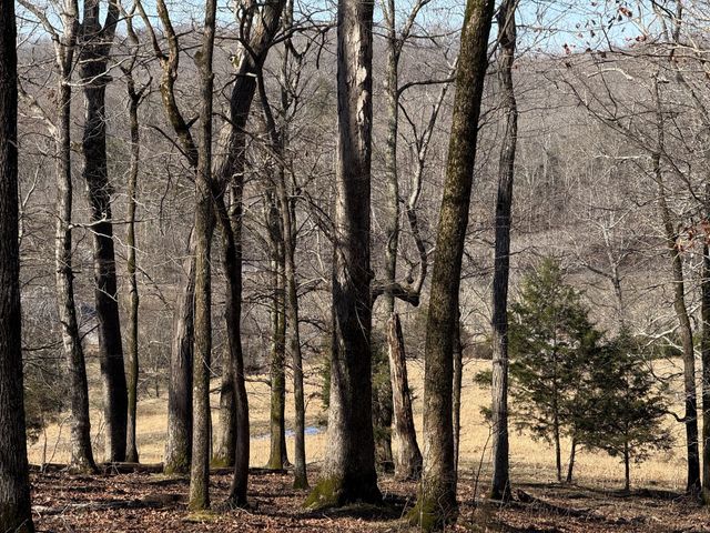 4 N Lick Creek Rd, Franklin, TN 37064