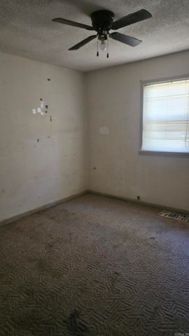 249 N Fordyce St, Rector, AR 72461