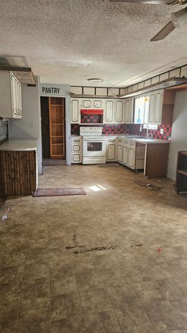 249 N Fordyce St, Rector, AR 72461