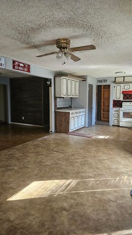 249 N Fordyce St, Rector, AR 72461