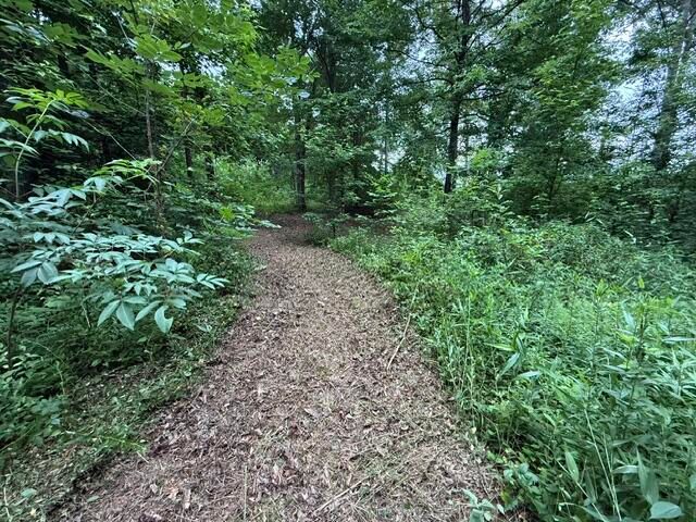 65 Outlook Drive, Owingsville, KY 40360
