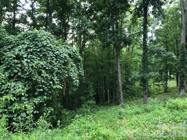 45 Sweet Fern Parkway 43, Asheville, NC 28804