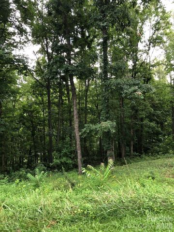 45 Sweet Fern Parkway 43, Asheville, NC 28804