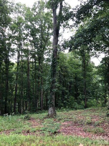 45 Sweet Fern Parkway 43, Asheville, NC 28804