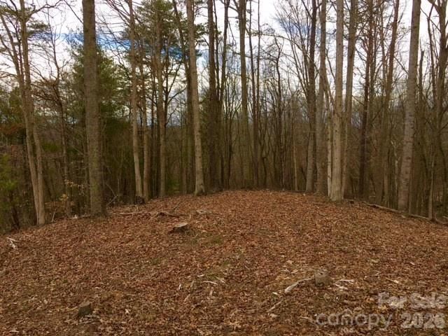 45 Sweet Fern Parkway 43, Asheville, NC 28804