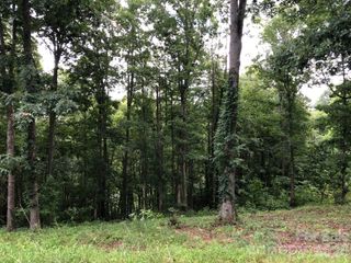 45 Sweet Fern Parkway 43, Asheville, NC 28804