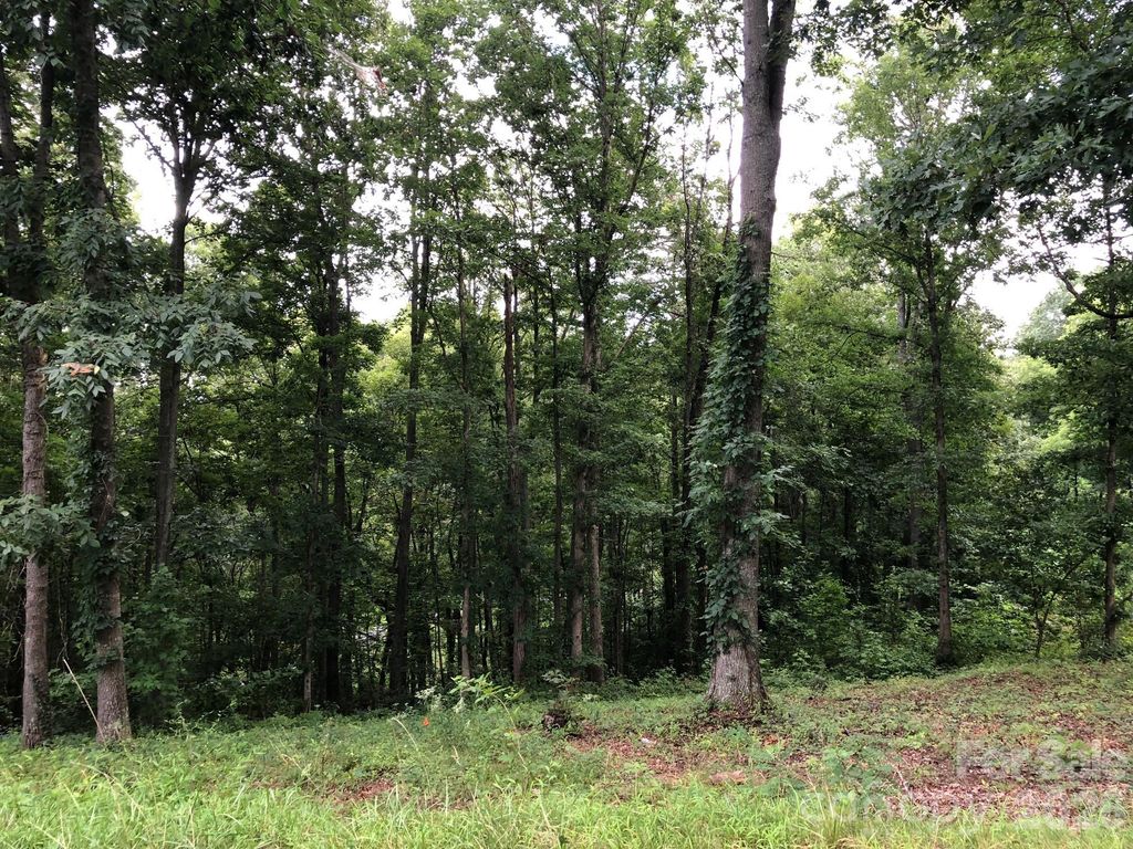 45 Sweet Fern Parkway 43, Asheville, NC 28804