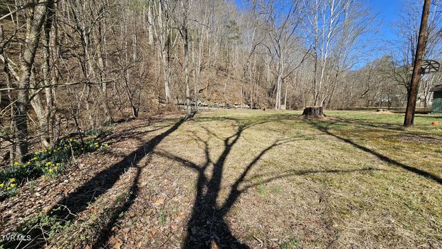 2053 Alto Street, Big Stone Gap, VA 24219