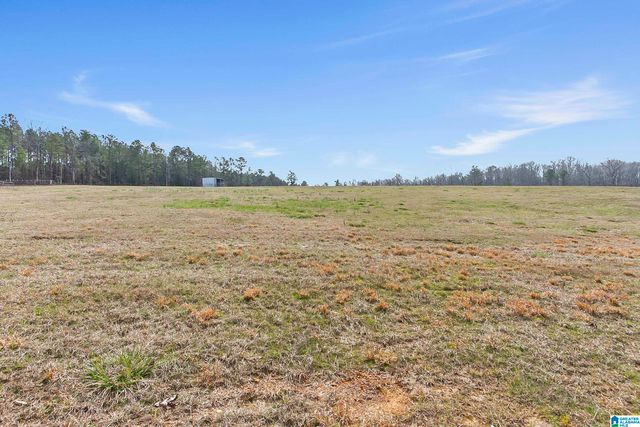 11490 SEVEN OAKS FARM DRIVE, Tuscaloosa, AL 35406