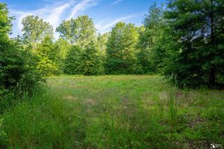 Parcel B Timbers Road, Carleton, MI 48117