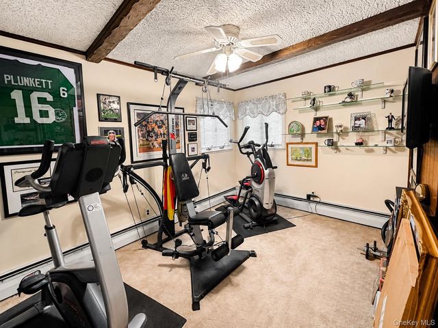 317 Herbert Place, Bethpage, NY 11714