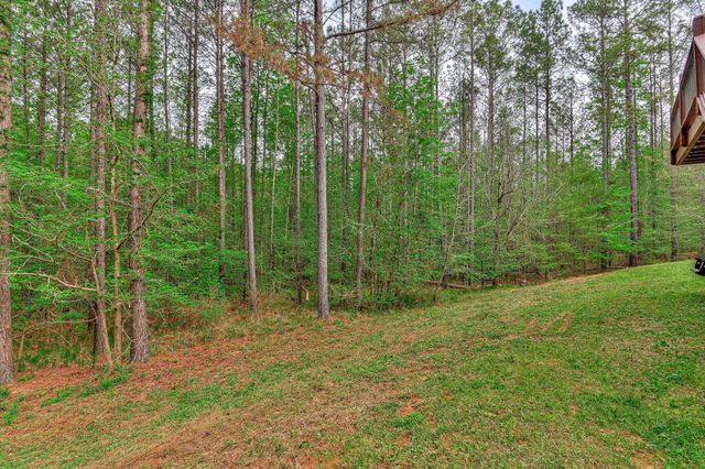 1067 Maiden Cane Way, Lincolnton, GA 30817