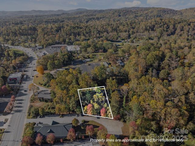 2312 Greater Druid Hills Boulevard, Hendersonville, NC 28791