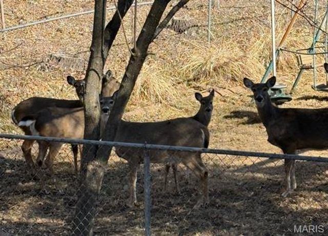 11953 Meadow Run Court, Maryland Heights, MO 63043