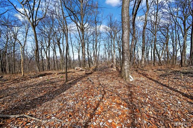 11953 Meadow Run Court, Maryland Heights, MO 63043