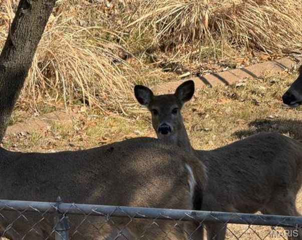 11953 Meadow Run Court, Maryland Heights, MO 63043