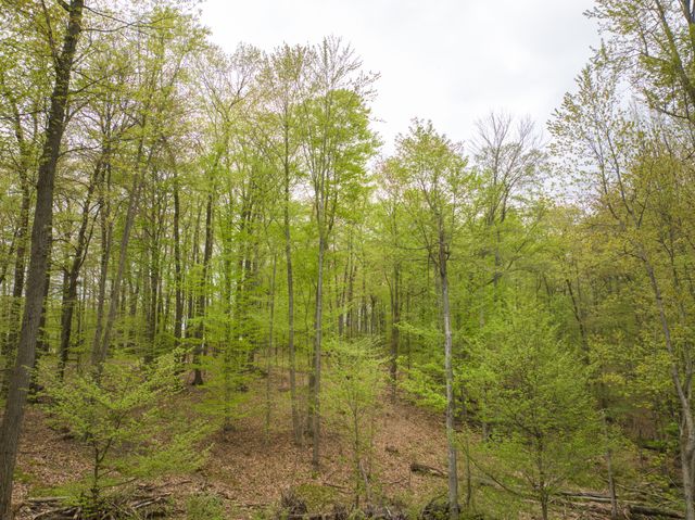 4848 Cutler Road, Six Lakes, MI 48886